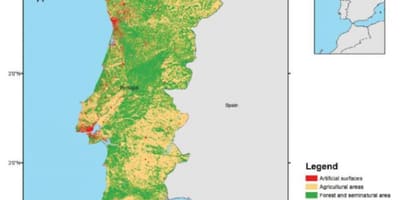 Karte von Portugal Wälder